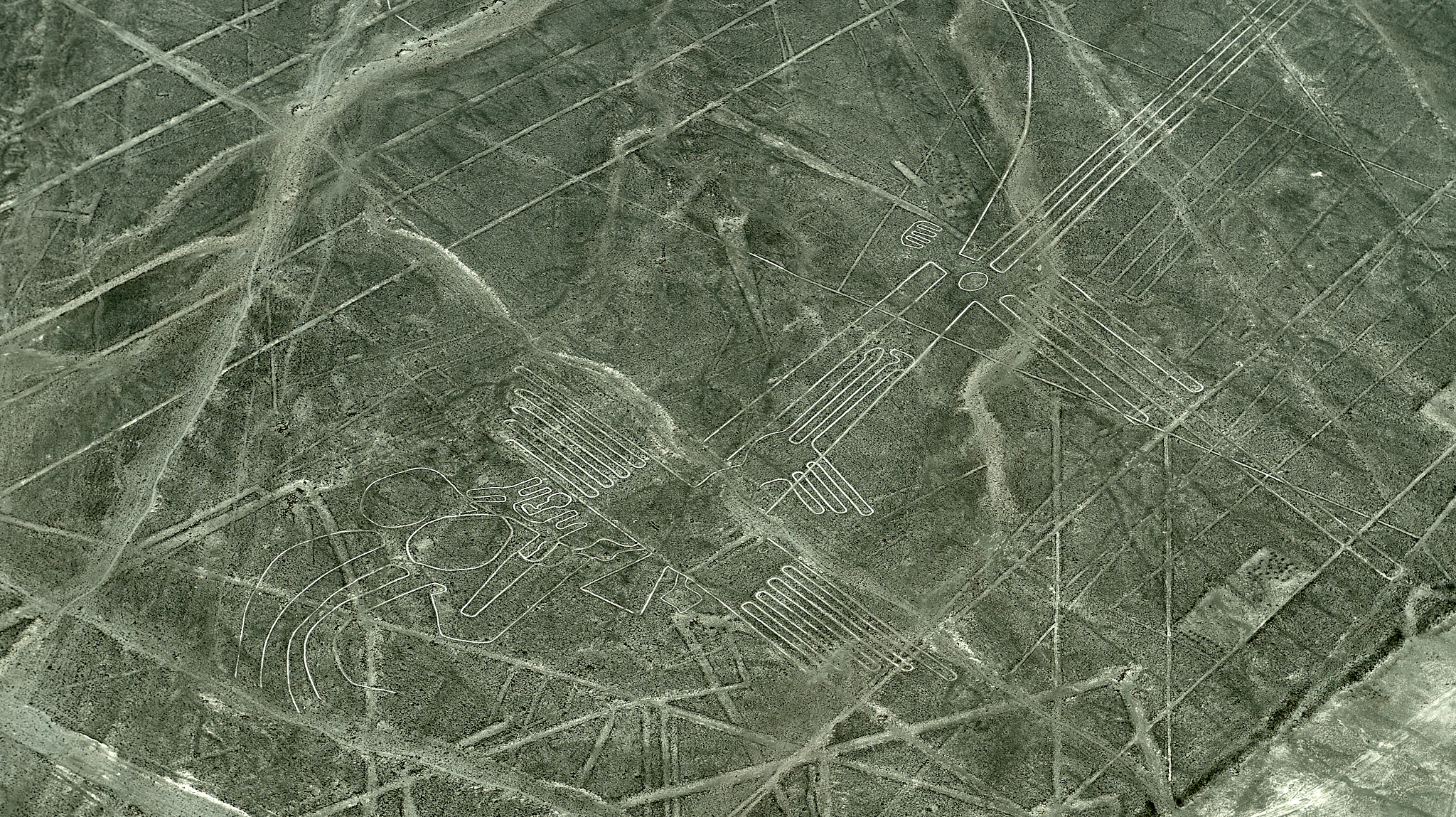 20200305 357 [페루] 나스카 라인